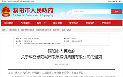 注冊資本金20億元，濮陽城市發展投資集團正式成立